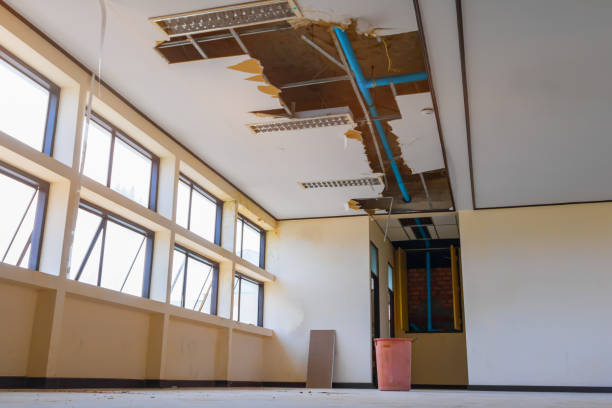 Best Flooded house restoration  in Williamstown, KY