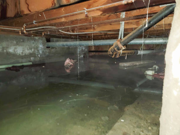 Best 24-hour water damage restoration  in Williamstown, KY