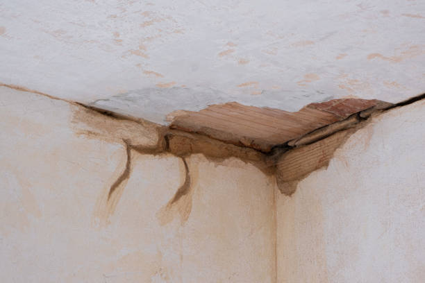 Best 24-hour water damage restoration  in Williamstown, KY