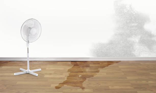 Best Residential water damage restoration  in Williamstown, KY