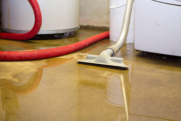 Best Water damage restoration near me  in Williamstown, KY